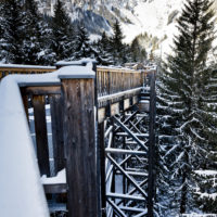 Der Baumzipfelweg, auch bekannt als Golden Gate Bridge der Alpen